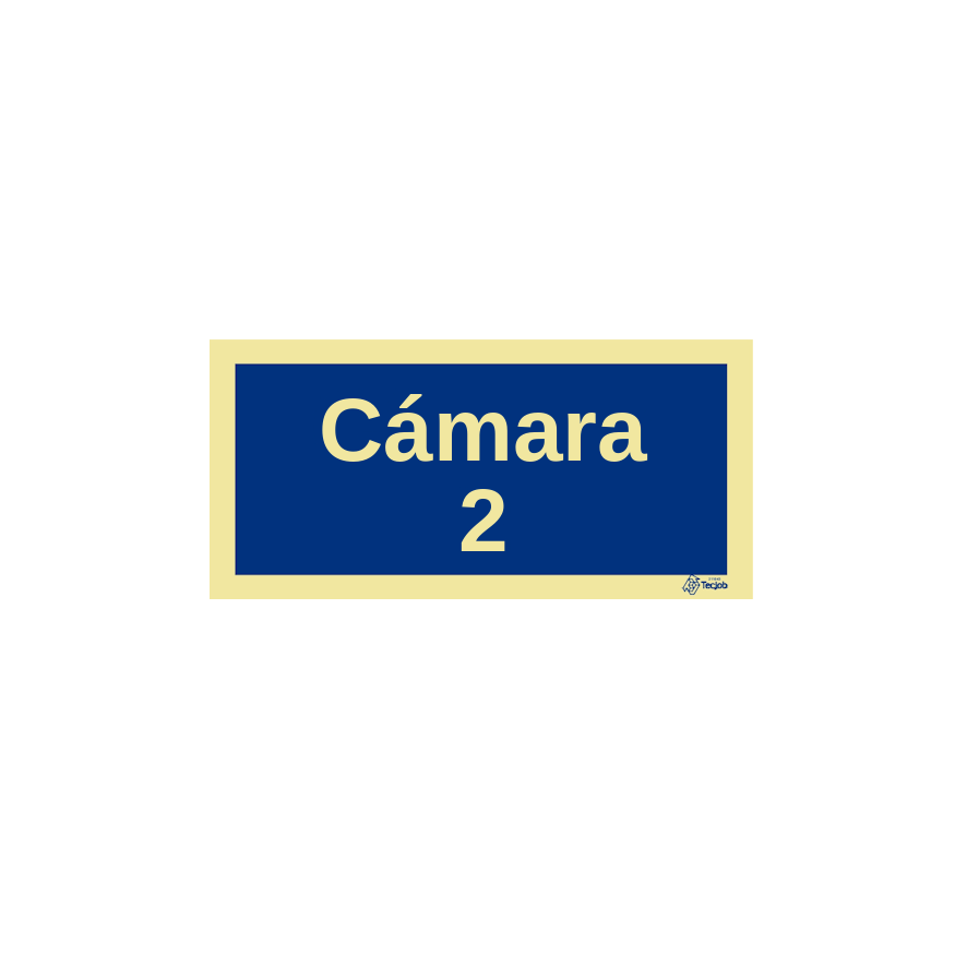 Señal Cámara 2 – IN0541